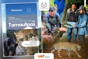 31 dic U 1 Difunde la UAT catálogo fotográfico de los mamíferos de Tamaulipas