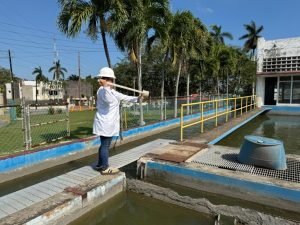 611849915_1321193193383810_2658646508131770934_n