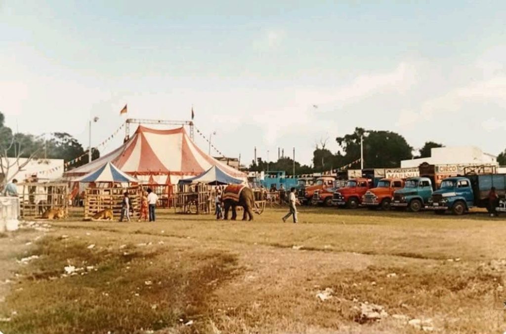 625996332_1343525111150618_4543805315154417170_n